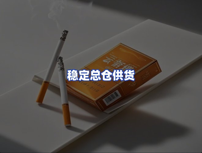 专业团队